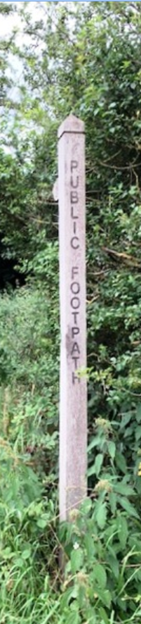 thinsignpost.png (Image)